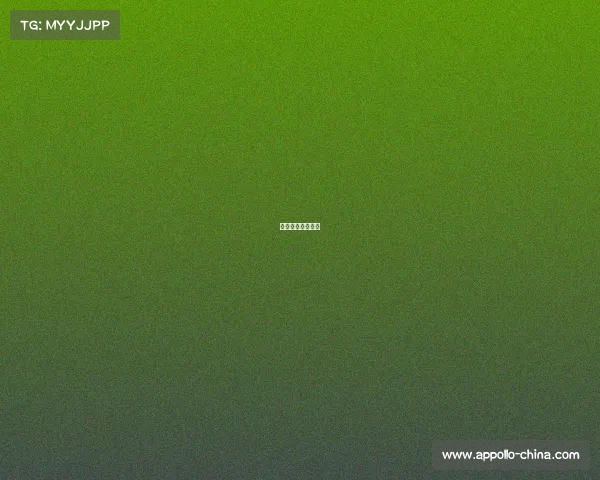 篮球管理中心官网